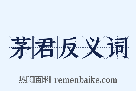 茅君反义词是什么意思的图片